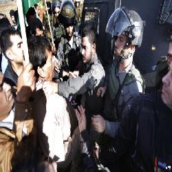 حماية يدين جريمة قتل 