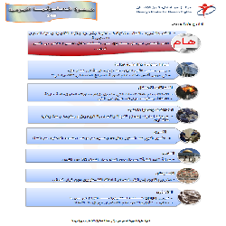النشرة الحقوقية اليومية (245)
