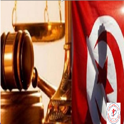 تصريح صحفي: حماية يثمن موقف القضاء التونسي، لمنعه عرض فيلم شاركت فيه ممثلة إسرائيلية