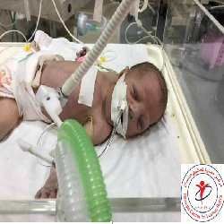 حماية/ يحذر من انهيار المنظومة الصحية في القطاع نتيجة النقص الحاد في الوقود