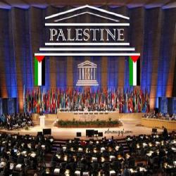حماية /قرار اليونسكو بشأن دعم قطاع التعليم في فلسطين بمثابة رسالة للمجتمع الدولي، تدعوه لوقفة جادة لردع الاحتلال عن انتهاكات حقوق الانسان