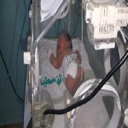 حماية/ حديثو الولادة 