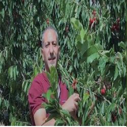 حماية يدين سياسة التعذيب التي يتعرض لها الأسرى والمعتقلين الفلسطينيين في سجون الاحتلال