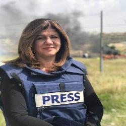 حماية: تحقيق مفوضية حقوق الإنسان بشأن جريمة قتل الصحفية 