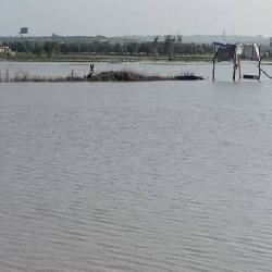 في رسالة وجهها لعدد من الشخصيات الأممية والدولية  